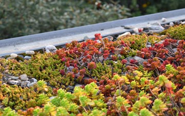 the cost of Tregoss green roof installation